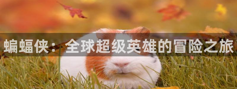 歪歪漫画无遮挡：蝙蝠侠：全球超级英雄的冒险之旅